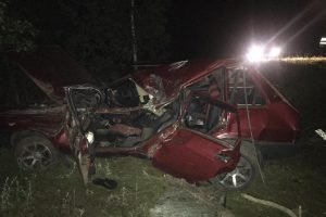 В Климовском районе погиб водитель, разбивший свою «девятку» об дерево