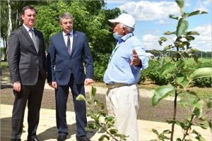Памятником Всероссийскому дню поля в БГАУ останется яблоневый сад