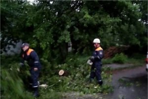 Непогода отключила свет в населённых пунктах Брянской области