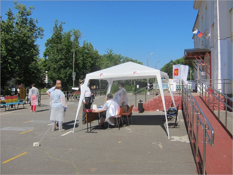 Перед заключительным днём общероссийского голосования явка в Брянской области превысила 72%