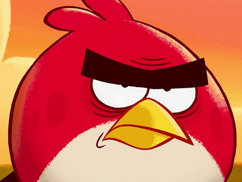 Angry Birds требуют от депутата брянской облдумы $24 000
