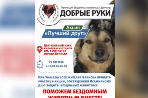 «Лучший друг»: в Брянской области возобновляется акция по поиску новых хозяев для «приютских» собак