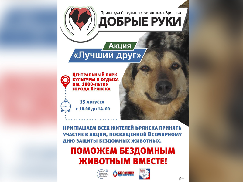 «Лучший друг»: в Брянской области возобновляется акция по поиску новых хозяев для «приютских» собак