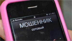 В Брянске к 3,5 годам строгого режима приговорён новосибирский телефонный мошенник