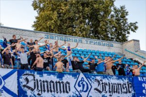 Брянское «Динамо» оштрафовано за матерные кричалки фанатов
