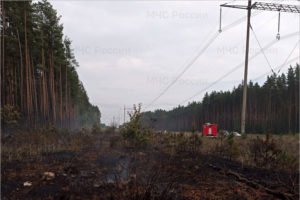 Под Карачевом пожарные пять часов тушили горящий лес