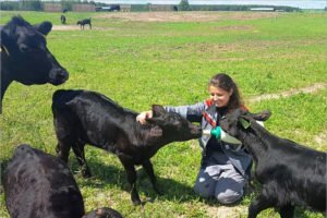 «Мираторг» передал БГАУ сельскохозяйственных животных для обучения студентов