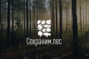 Брянская область присоединилась к всероссийской осенней акции «Сохраним лес»