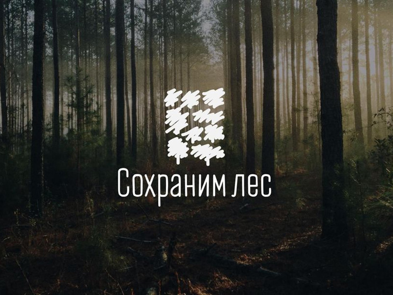 Брянская область присоединилась к всероссийской осенней акции «Сохраним лес»