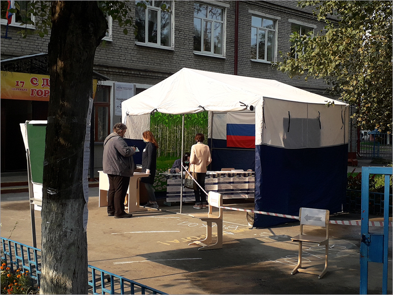 В Брянской началось «пеньковое» голосование на губернаторских выборах