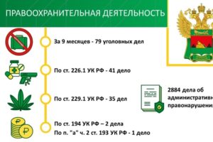 Тополь, мазут и говядина: Брянская таможня возбудила 79 уголовных дел о контрабанде