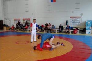 Артём и Виктор Осипенко стали чемпионами Брянской области по самбо
