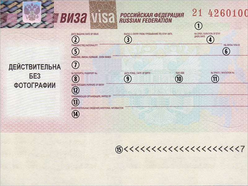 Правительство утвердило список пунктов для въезда в Россию по электронной визе