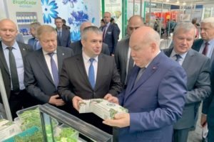 Брянская зелень появится на прилавках белорусских торговых сетей