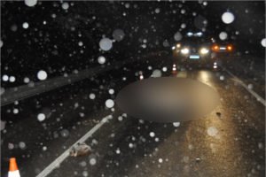 На дороге под Клетнёй женщина-водитель раздавила пешехода