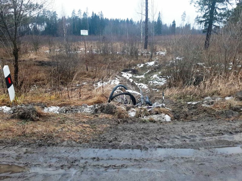 На дятьковской трассе под колёсами погибла велосипедистка