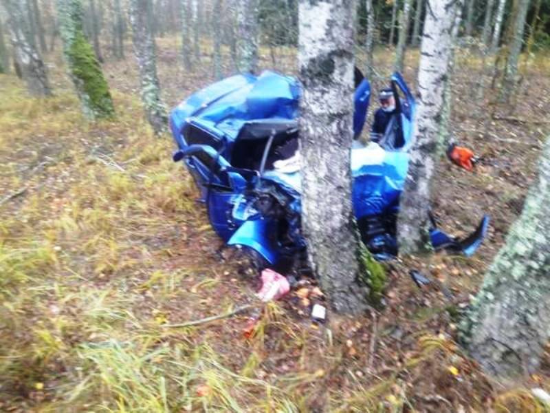 В столкновении с деревьями под Климово погиб 43-летний водитель