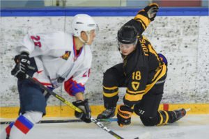 Хоккейный «Брянск» в Череповце уступил в серии буллитов