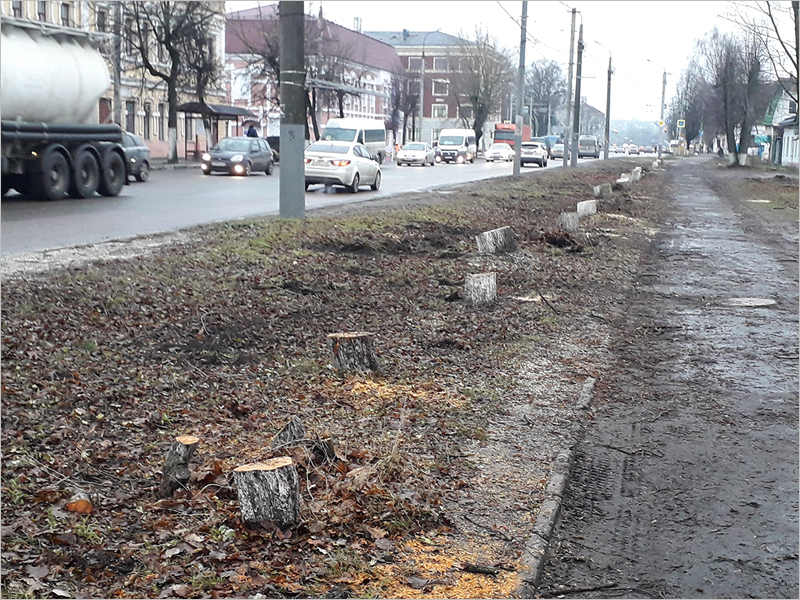Брянские дорожники для шестиполосной улицы Ульянова начали пилить. Деревья
