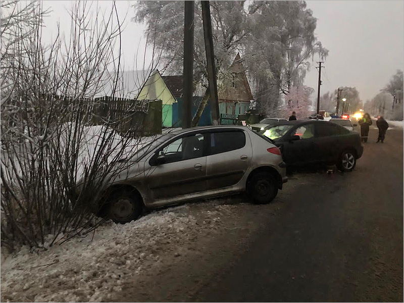 Маленькая девочка и 19-летняя девушка получили травмы в ДТП в Клинцовском районе