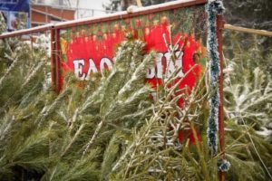 Ёлочные базары в Брянске откроются 19 декабря. Вновь под контролем похоронного МУСПа