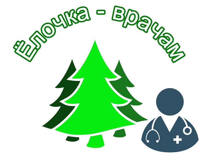 «Ёлочка – врачам»: брянские лесники обеспечат брянские больницы новогодними ёлками