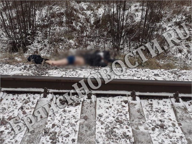 В Новозыбкове поезд «Москва-Климов» наcмерть сбил мужчину