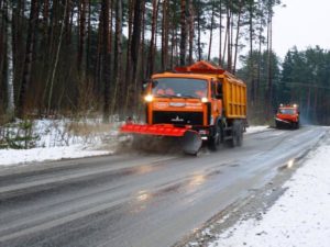 Брянские региональные дороги от снега зимой будут чистить почти 500 спецмашин — Богомаз