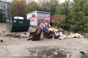 В Брянске в мусорном контейнере обнаружено мумифицированное тело женщины