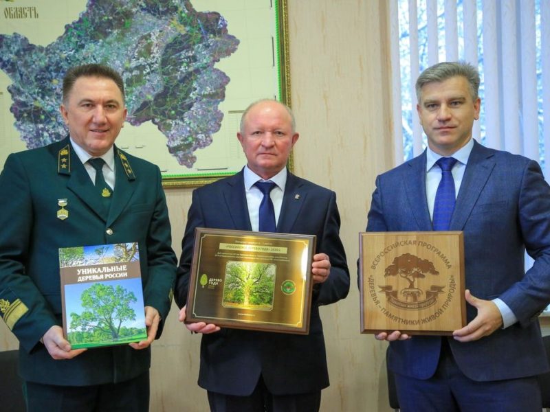 Брянский Партизанский дуб получил регалии «Российского дерева года». За третье место