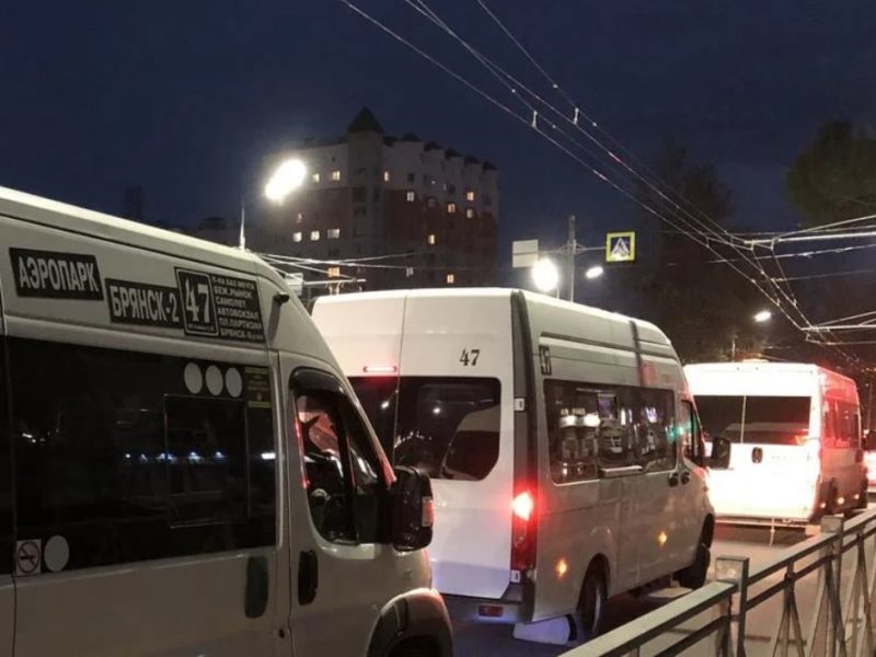 «Главный по транспорту» в Брянске попытался объяснить «зачистку» маршрутчиков