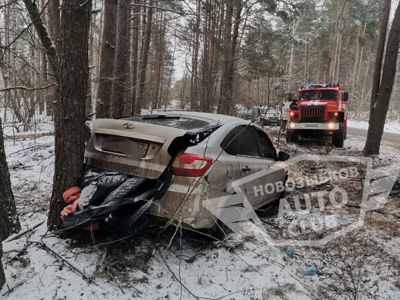 Водитель легковушки не рассчитал скорость и врезался в дерево под Новозыбковом