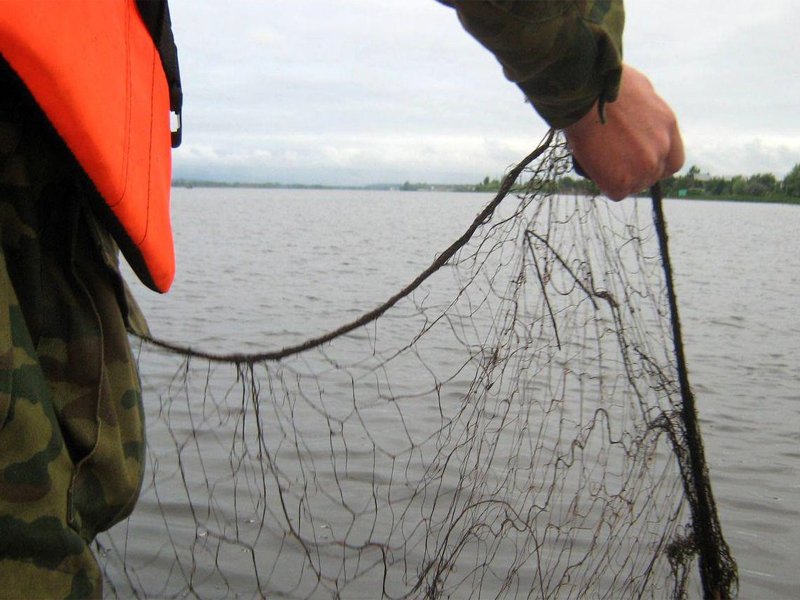 Клетнянские рыбаки оштрафованы на миллион за 33 хвоста