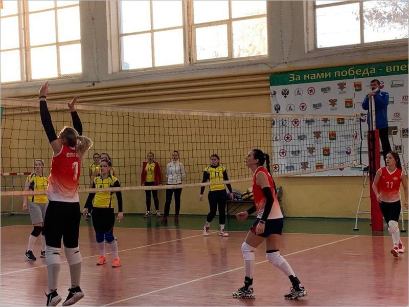 Брянское «Торпедо» выиграло первый круг областного волейбольного первенства