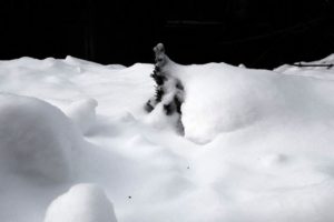 Толщина снежного покрова в Брянске превысила рекорд 2010 года
