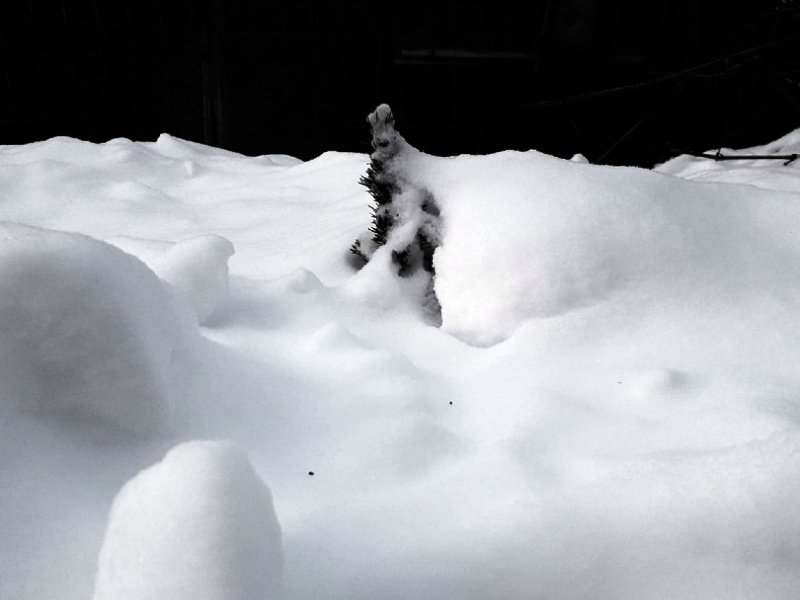 Толщина снежного покрова в Брянске превысила рекорд 2010 года