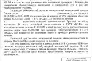 Брянская прокуратура запуталась в собственных отписках по проверкам смертельного ДТП под Трубчевском