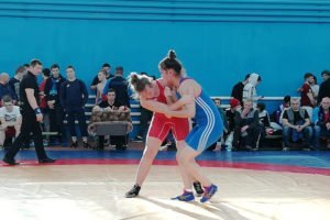 Брянские спортсмены показали достойные результаты на домашних всероссийских соревнованиях по спортивной борьбе