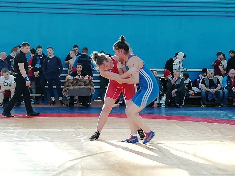Брянские спортсмены показали достойные результаты на домашних всероссийских соревнованиях по спортивной борьбе