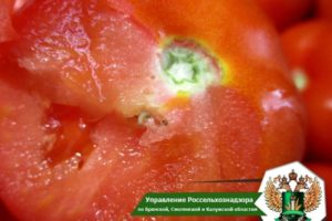 В Брянской области развернули 20 тонн испорченных томатов