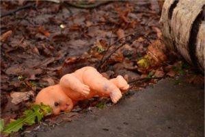 В городском лесу в Брянске  обнаружено обгоревшее тело младенца. Идёт доследственная проверка