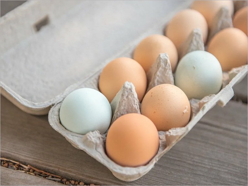 Птичий грипп привёл к увеличению цены на яйца в несколько раз