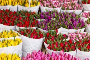 В Брянске к 8 марта открылись цветочные базары