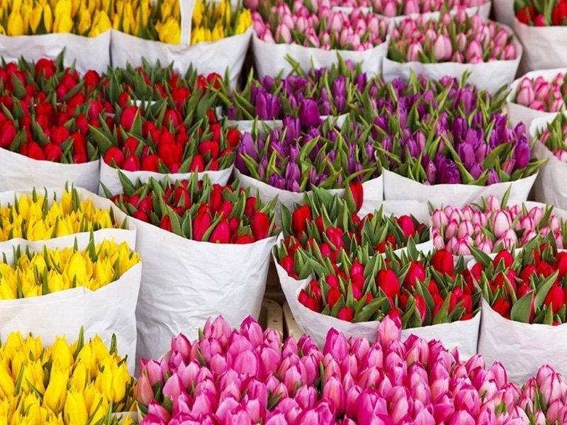 В Брянске к 8 марта открылись цветочные базары