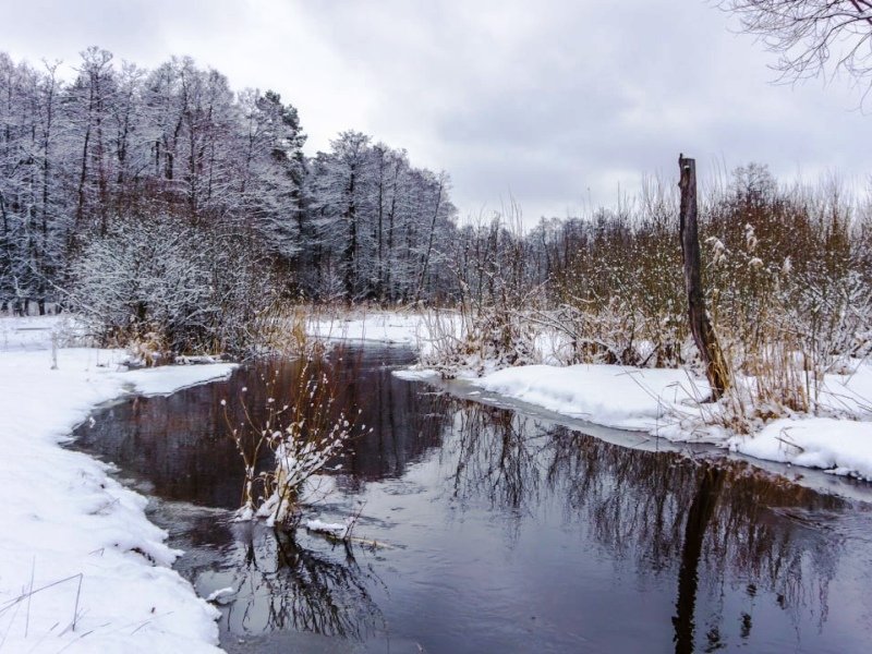 Малые реки Брянской области начали вскрываться от льда и выходить на пойму