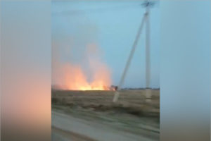 За три недели в Брянской области произошло более 450 пожаров, связанных с палами сухой травы