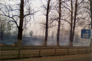 Количество «травяных» пожаров в Брянской области превысило 750 случаев