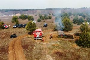 На тушение лесных пожаров в брянских лесах отрядили более 1000 человек
