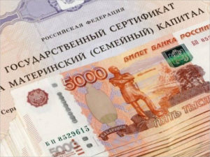Брянские семьи перечислили 274 млн. рублей маткапитала на оплату образования
