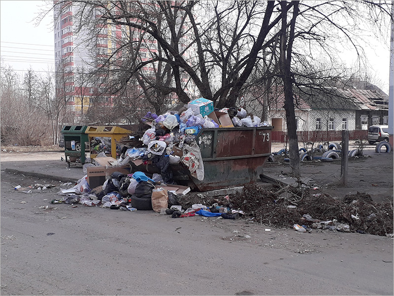Брянские мусорщики активно участвуют в месячнике по благоустройству города. Как умеют